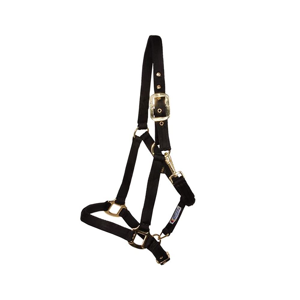 Schneiders Dura-Tech Cushion Web Halter for Horses | Size Full Size | Color Black | Exceptional Comfort & Durability | Super Soft Poly Web | Gentle to Prevent Rubbing | Ample Adjustment
