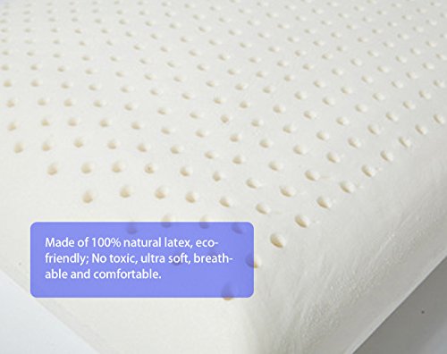 Eonshine 100% Eco-Friendly Natural Soft Ventilated Latex Foam Bed Pillows, Pack Of 1 (With Bamboo Fiber Cover) #TOP3