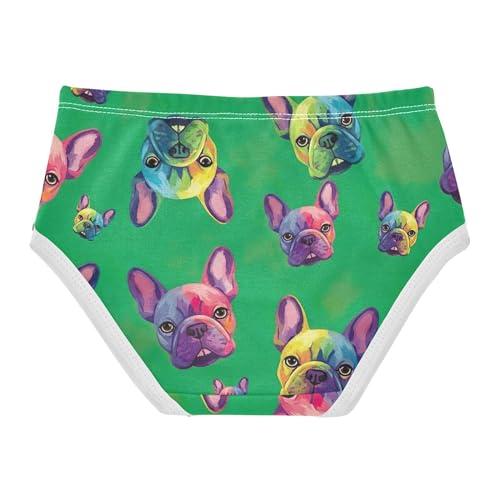 Rainbow French Bulldog Green Girls Underwear Toddlers 2t Cotton Girl Panties Cute Florals Underpants Briefs2