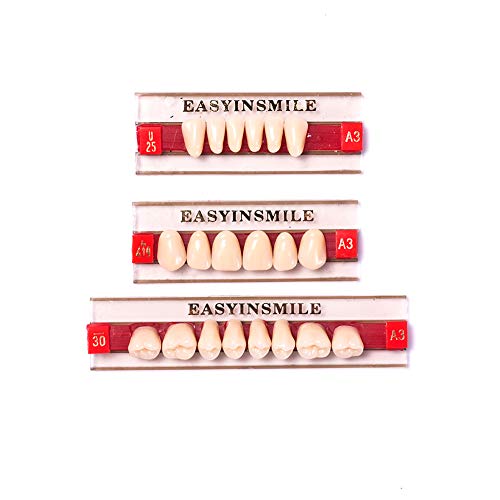 Image of Easyinsmile Dental Synthetic Resin Teeth A2 A3 False Upper Lower Teeth Replacement Dentures for Halloween (A3, Full Set 419+U25+30)