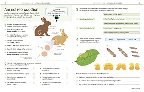 How to be Good at Science, Technology and Engineering Workbook 1, Ages 7-11 (Key Stage 2): The Simplest-Ever Visual Workbook - Image 6