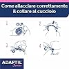 ADAPTIL JUNIOR COLLARE