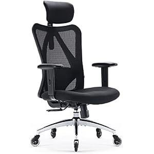 SIHOO Chaise de Bureau Ergonomique, Fauteuil de Pivotant en Maille Avoir Soutien Lombaire et Accoudoir Réglable, Capacité Maximal de 150 KG,Noir M18-m152(noir)