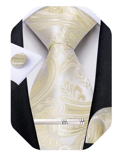 Image of DiBanGu Paisley Ties for Men Silk Necktie and Pocket Square Cufflinks Tie Clip Set Woven Classic Mens Tie for Wedding Party