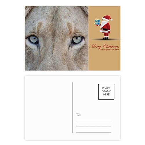 Cartes postales lion blanc de Noël pour décorer vos tables de fêtes