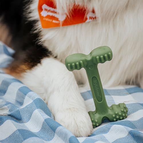 Jouet à mâcher pour chien Nylabone goût bacon os résistant grand modèle - 3