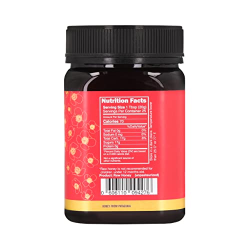 Pure Wildflower Rainforest Honey By Bee Patagon | From Patagonia (17.6Oz) #TOP6