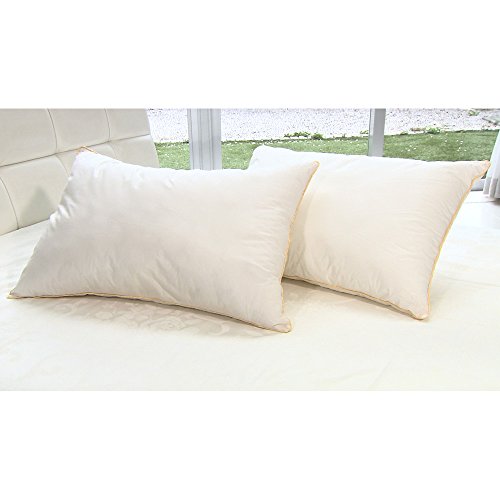 ディノス 枕の人気商品 通販 価格比較 価格 Com