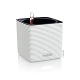 Lechuza "Cube Color 14" Pflanzgefäß mit ERD-Bewässerungs-System, Weiß, 14 x 14 x 14 cm