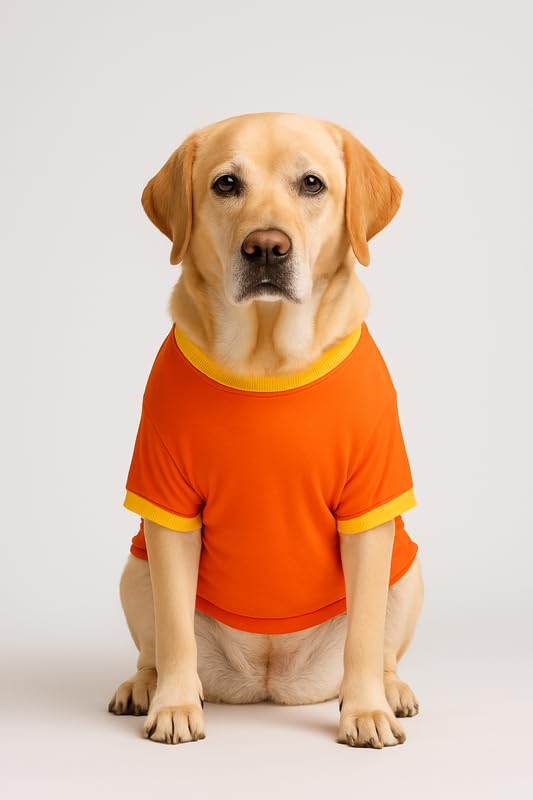 Image of Thunder Tails Cotton Adjustable Dog T-Shirt for Full-Grown Labrador, Golden Retriever, German Shepherd & Husky | Soft Pet Clothing for Large Dogs (Orange, 5XL)