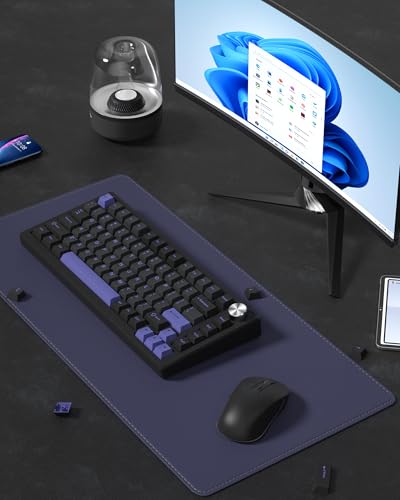 キーキャップ Womier ダブルショット PBT キーキャップセット、チェリープロファイル、138キー、60/65/75/100% メカニカルキーボード用、レトロゲーミングスタイル (ブラック＆パープル)