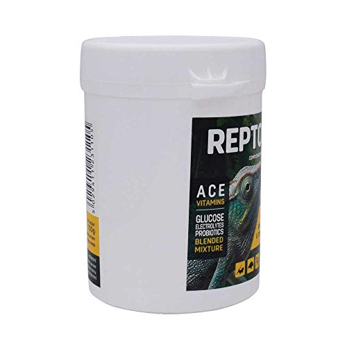 Vetark Reptoboost Power, Electrolyte & Probiotic boost for reptiles & tortoise, Supports recovery following hibernation, Easy to give, 100g powder - Image 4
