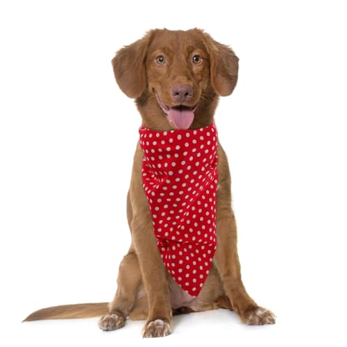 Angoily Hunde Halstuch Bandana Für Corgi Zwergspitz Doppelseitiges Angenehmes Haustierhalsband Mit Rundpunkten in Rot Für Halloween Und Täglich Hält Ihren Hund Sauber Und Attraktiv