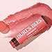 Burt's Bees Lip Tint Balm, Long Lasting 2 in 1 Duo Tinted Balm Formula, Color Infused with Hydrating Shea Butter for a Natural Looking Buildable Finish, Hibiscus, 1 Tube