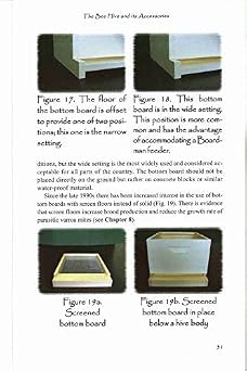 First Lessons in Beekeeping