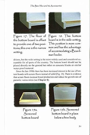 First Lessons in Beekeeping