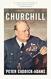 Swift Press Winston Churchill The Prime Ministers Series.