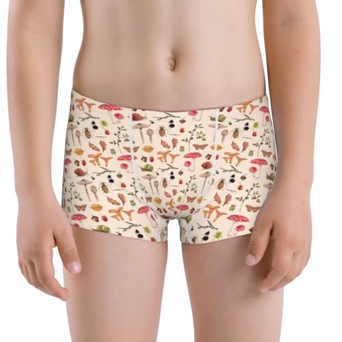 Boys' Cotton Boxer Brief Soft Underwear-Autumn