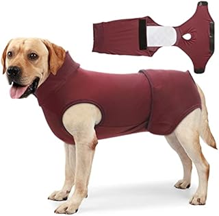 Vanansa Dog Recovery Suit, Breathable Dog Surgery Recovery Suit Protect Wound Anti Skin Diseases, Dog Surgical Suit for Puppy Small Dogs, Grey, XS