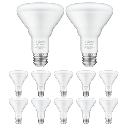 10 Best Led Can Light Bulbs in 2024 Top Brands Review