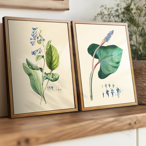 crmotu Botanical Framed Wall Art, Green Leaf Canvas Art Prints, Nature Plant Study Vintage Pictures, Minimalist Rustic Farmhouse Wall Decor, Bedroom Kitchen Desktop Bathroom Decorations, 9x11inch
