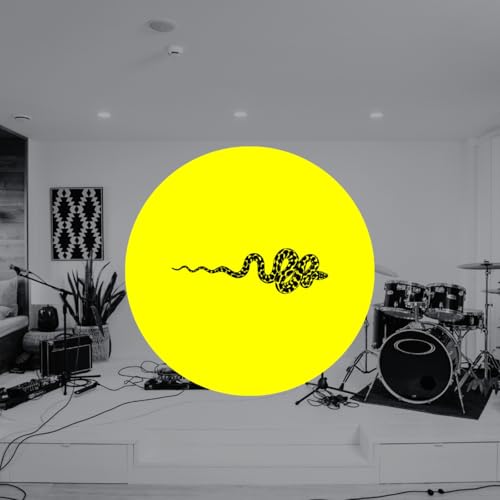 Music Industry Insights Titelbild