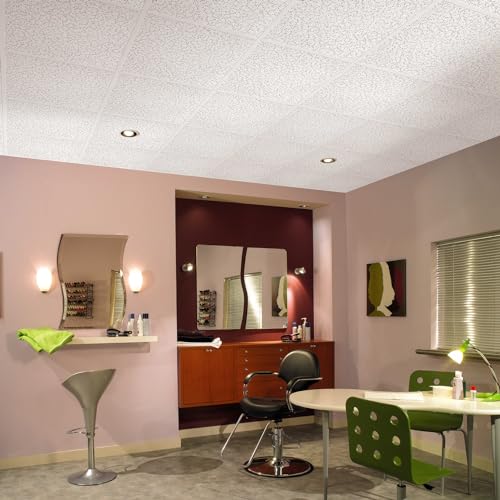 Armstrong Ceiling Tiles; 2x2 Ceiling Tiles - 16 pc White; Acoustic Ceilings for Suspended Grid; Random Textured 935