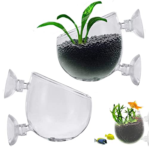 2 pièces Pot de Fleurs pour Aquarium, Support de Plante d'Aquarium avec Ventouse, Pot de Tasse en Verre de d'Aquarium, Pots De Plantes Décorations Fish Tank, pour Aquascape Aquarium