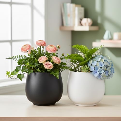 Image of Xtore 2 Pc Graceful Matte Ceramic Planter Pot for Indoor Plants & Bonsai Display | Minimal Rounded Tabletop Planter for Living Room, Desk & Window Styling (White& Black, Planters only)