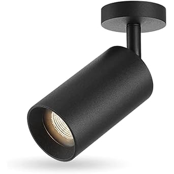 ZOREZA Spot Lights for Home Wall (Warm White 12W)