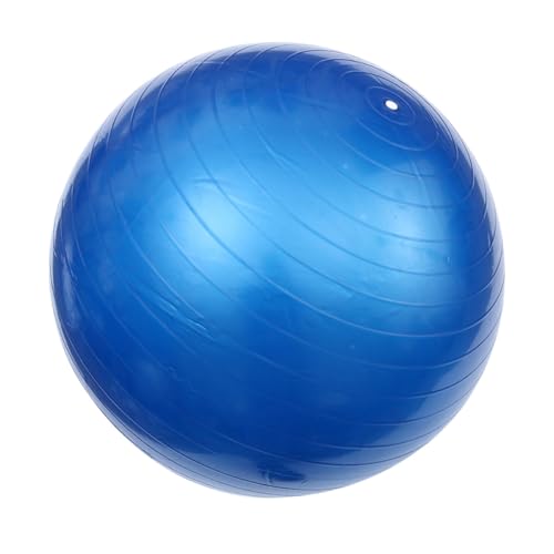 DIYEAH 600G�A���`�o�[�X�g�����K�{�[�� �o�����X����g���[�j���O��� �ؗ͋����t�B�b�g�l�X �s���e�B�X�Ή� ���� �W���p�G�N�T�c�[�� �u���[