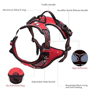 Truelovetrueloveadjustablenopulldogharnessreflectivepupvestharnessescomfortablecontrolbrilliantcolorstlh5651blues Urban Country Home Decor True love truelove adjustable no pull dog harness reflective pup vest harnesses comfortable control brilliant colors tlh5651blues urban country home decor