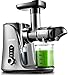 Licuadora prensada en frío, AMZCHEF licuadora de frutas y verduras, Extractor de zumos con 2 velocidades, panel de pantalla LED, 2 botellas de agua(500ML), cepillo fácil de limpiar (Plata)