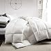 Puredown All Seasons White Down Comforter 100% Cotton 600 Fill Power, Twin Size, White