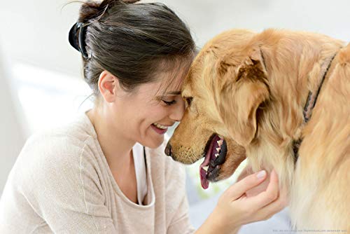 valonic Zeckenzange 2X - rot, Zeckenpinzette, Zeckenentferner für Hunde und Katzen - tick remover