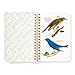 Brass Monkey Salty Birds Sticker Book | Great For Migrating Sass (A Brass Monkey Sticker Book)