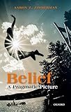 Belief: A Pragmatic Picture