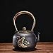 Café en Fonte Peinte en Fer de Paon Pot en Fer de Porc Imitation Japonais Ensemble de thé sans revêtement 1.2L Ensembles de thé