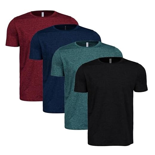 Kit 4 Camisetas Masculina Dry Fit Academia Treino Plus Size G1 ao G4 (Preto/Azul/Verde/Vinho, G2)