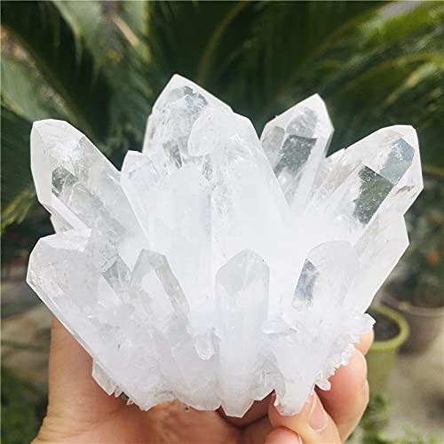 Kolekcje domowe Naturalne przezroczyste minerały kwarcowe do kamienia Wyposażenie domu Dekoracja Prezent (rozmiar: 300-400g) (rozmiar: 500-600g)