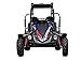 Trailmaster Blazer i200R (! Electic !) Go Kart Youth Go Kart. Ages 10 and up, Mid Size Kids cart, Body Kit with Reverse. (Red)