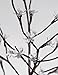 LIGHTSHARE 6Ft 208L LED Blossom Tree, 20L LED C7 Decoration Light,Home Garden/Summer/Wedding/Birthday/Christmas/Festival/Party Indoor and Outdoor Use,Slow-Color-Changing Light