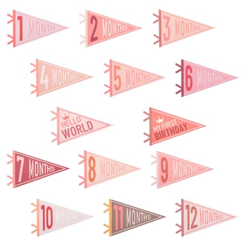 14 Pcs Baby Monthly Milestone Felt Pennant, LIOUCBD Month Baby Milestone Signs, Monthly Milestones Triangle Banners for Boy Girl, Age Milestones Flag Signs for Photos Props &Newborn Birthday Party Decor (Pink)