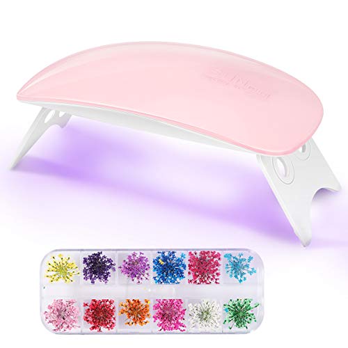 Allnice Mini UV LED Nail Lamp and Dried Flowers Set for Nail Art 6W nail dryer for Gel Nail Polish Professional Nail Art Tools, 3D Applique Nail Decoration Sticker for Tips Manicure Decor