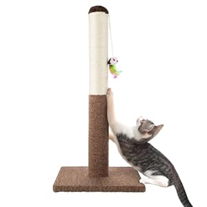 PETMAKER Cat Scratching Post – Tall Scratcher for Cats and Kittens with Sisal Rope and Carpet, Hanging Mouse Toy for Interactive Play (24.5 Inch)
