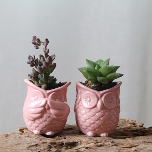 Pots de fleurs décoratifs hibou TUSUOD céramique pour plante verte