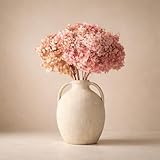 FLORES SOLIDARIAS - Flores Preservadas - Ramos de Flores Preservadas Naturales - Hortensias Preservadas - Regalo día de la Madre - Regalo Aniversario, Regalos San Valentín - Envio 24 h - Rosa
