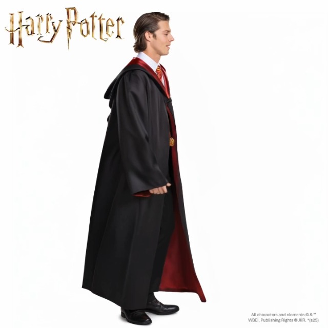 Amazon.com: Disguise Harry Potter Gryffindor Robe, Official