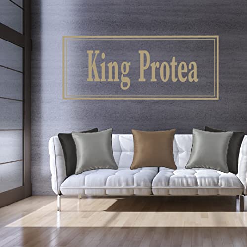 King Protea Silver Grey Decorative Throw Pillow Covers Soft Heavy Satin Fabric With Black And White Piping For Sofa Couch Bed Chair Square Cushion Cases 18X18 Inch 45X45 Cm Pack Of 2 #TOP5