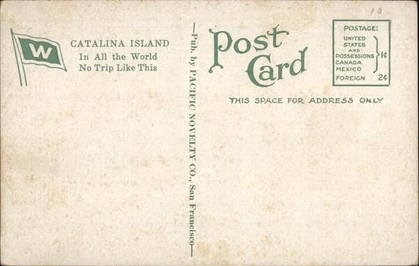 Miniatura 2 de Home of Mr. Wm. Wrigley Jr. Overlooking Avalon Bay Santa Catalina Island, California Original Antique Postcard